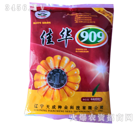 �ѻ�909-��������-�����ҵ