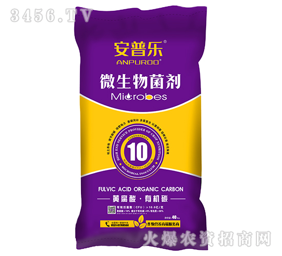 10�ڻƸ����л�̼΢����������ۼ���-������-������̬