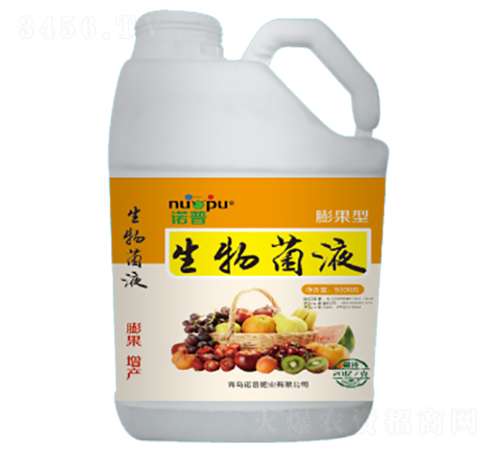 �����Һ-ŵ��