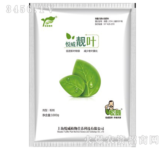 ������Ҷ��1000g��-����