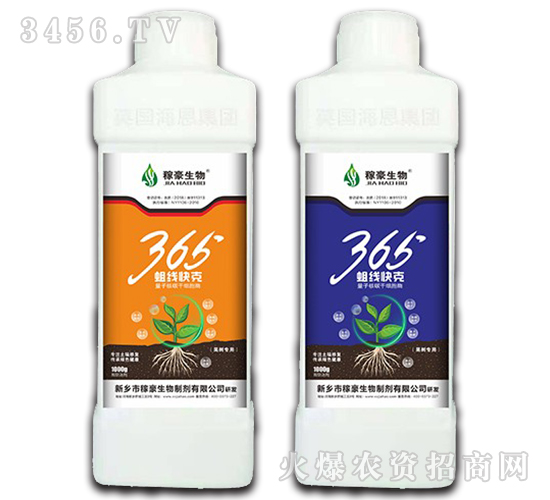 365���߿��2-�ں�����