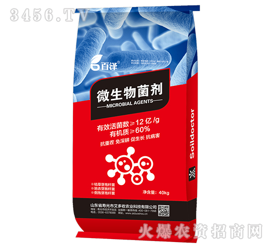 40kg΢�������-����-������