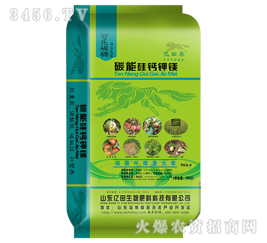 ̼�ܹ�Ƽ�þ-����ϲ-��������