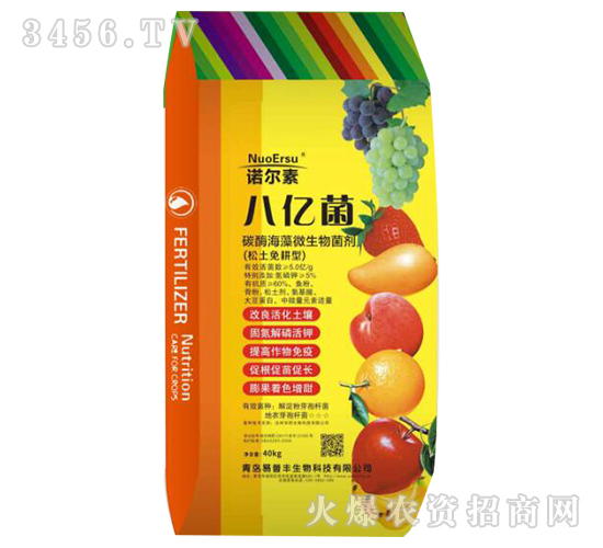 ���ھ�-ŵ��̩