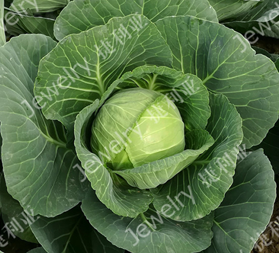 �ݸ�13365-��������-������