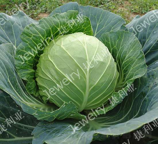 �̼�374-��������-������