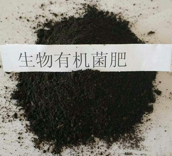 �����л�����-������ҵ