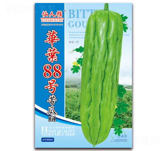 ��Ҷ88�ſ��-�������-��Ҷ