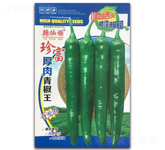 �主-��������-��Ҷ