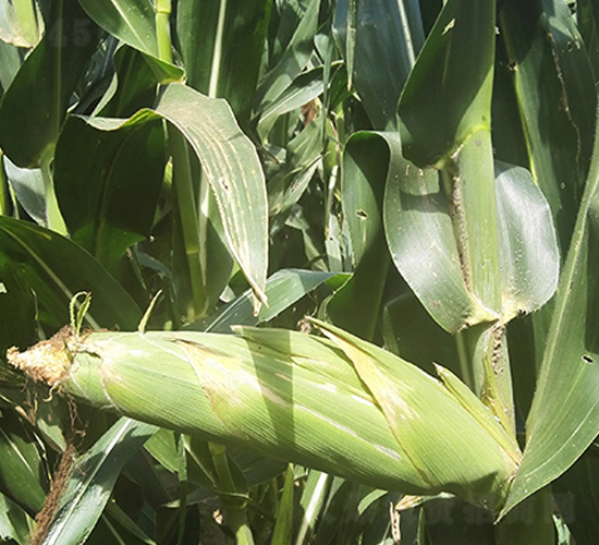 ����11��-��������-����