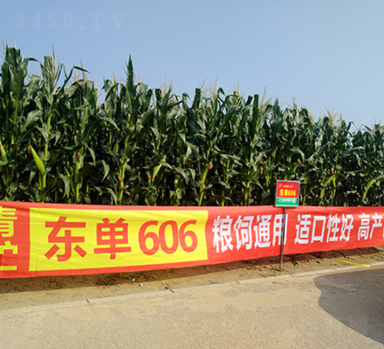 ����606-��������-����
