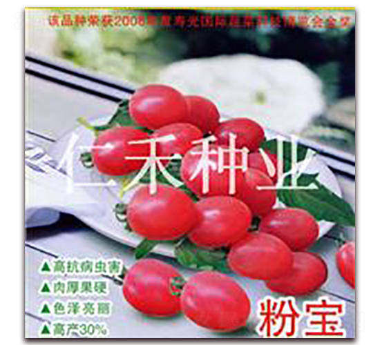 �۱�-ӣ�ҷ�������-�ʺ���ҵ