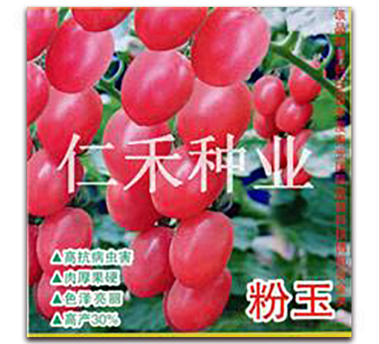 ����-ӣ�ҷ�������-�ʺ���ҵ