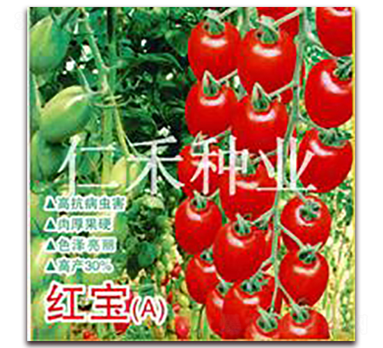 �챦��A��-ӣ�ҷ�������-�ʺ���ҵ