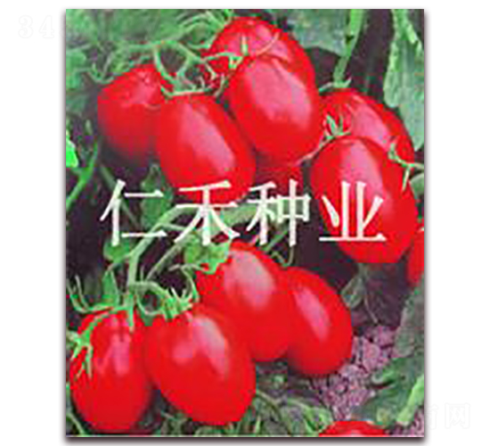 �챦��B��-ӣ�ҷ�������-�ʺ���ҵ