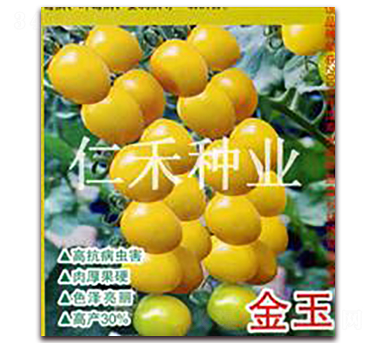 ����-ӣ�ҷ�������-�ʺ���ҵ
