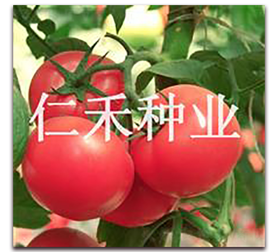 �ϰ¿ɡ��۹���������-�ʺ���ҵ