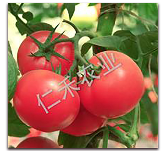 ��״Ԫ-�۹���������-�ʺ���ҵ