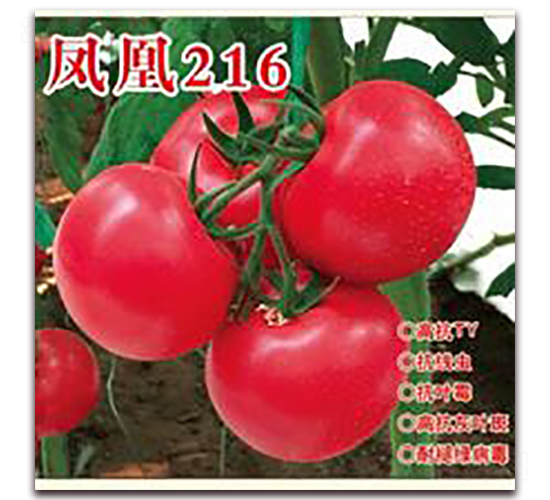 ���216-�۹���������-�ʺ���ҵ