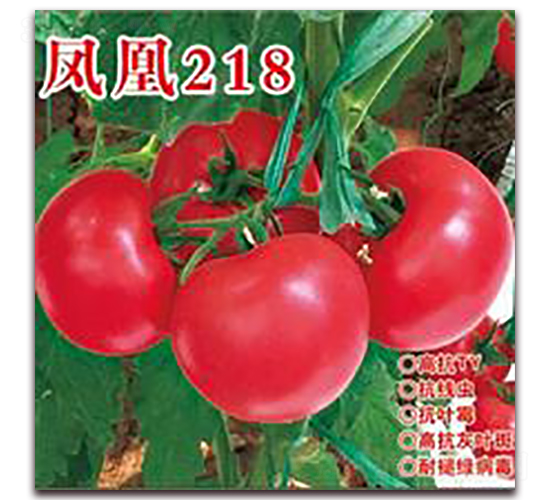 ���218-�۹���������-�ʺ���ҵ