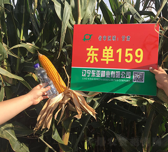 ����159-��������-����