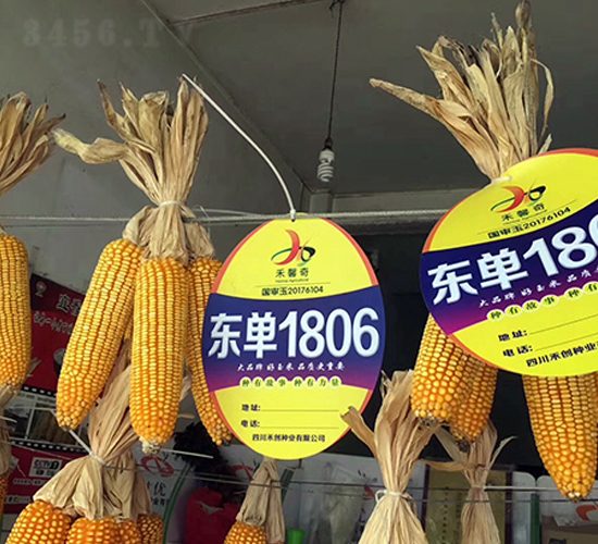 ����1806-��������-����
