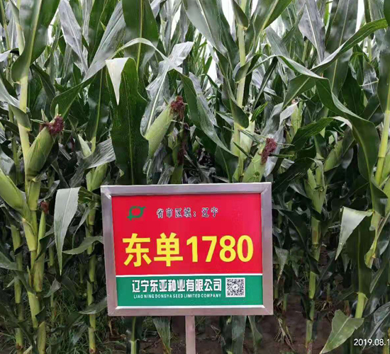 ����1780-��������-����