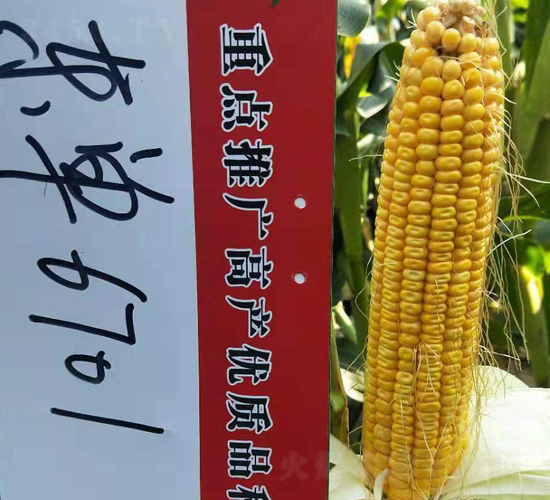 ����6701-��������-����