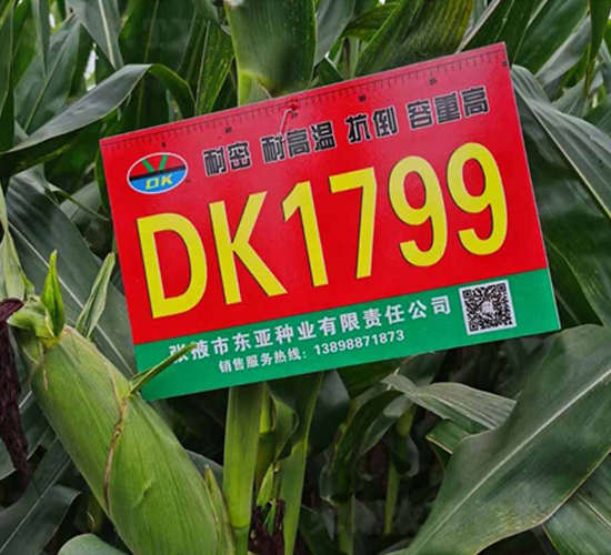 DK1799-��������-����