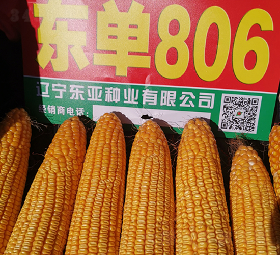 ����806-��������-����