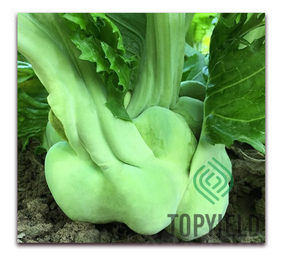 �ե5��-ե������-�����ҵ