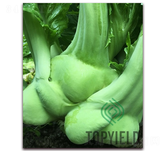 �ե2��-ե������-�����ҵ