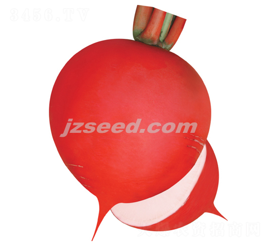��԰�챦-�ܲ�����-�ִ���ҵ