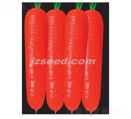 ����809����-���ܲ�����-�ִ���ҵ