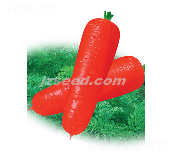 ����807����-���ܲ�����-�ִ���ҵ