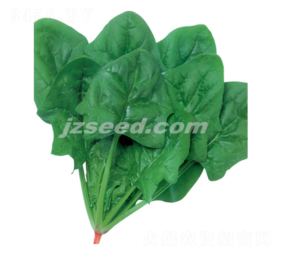 ���漱�ȷ�-��������-�ִ���ҵ