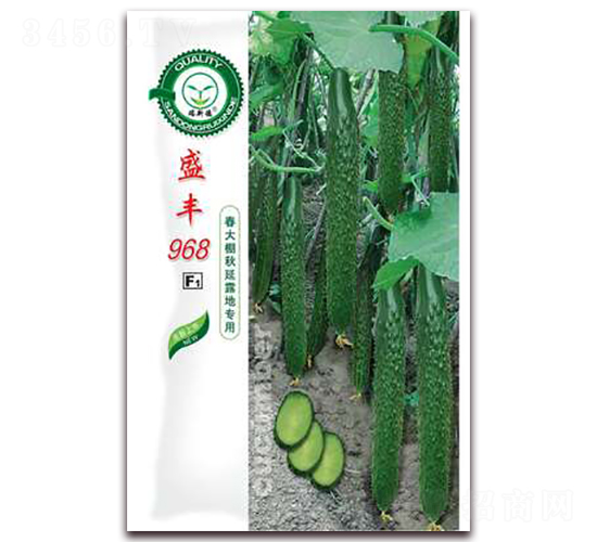 ʢ��968-�ƹ�����-�ڼҷ�