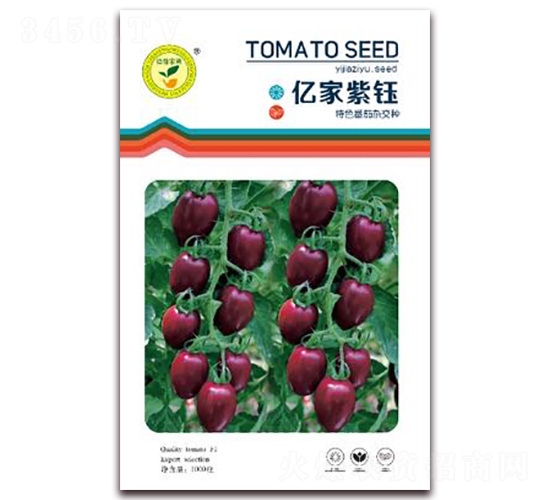 �ڼ�����-���Ѻ������-�ڼҷ�
