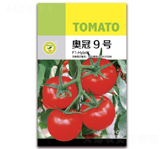 �¹�9��-���Ѻ������-�ڼҷ�