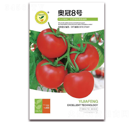 �¹�8��-���Ѻ������-�ڼҷ�