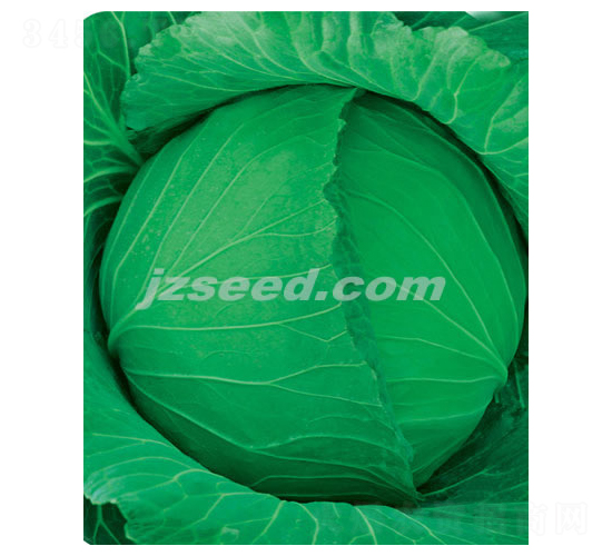 ����1027-��������-�ִ���ҵ