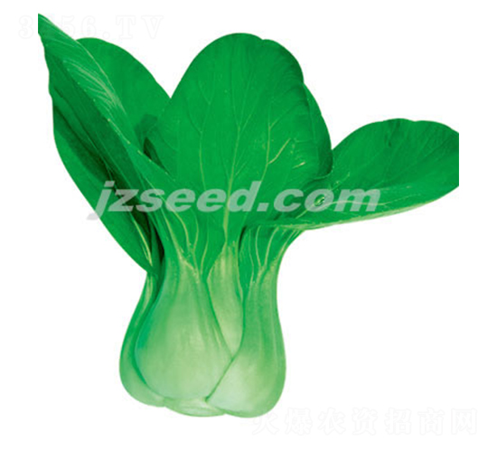 ����һ��-С�ײ�����-�ִ���ҵ
