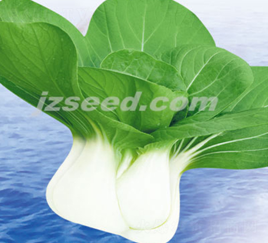 ��ũ�ذ���-С�ײ�����-�ִ���ҵ