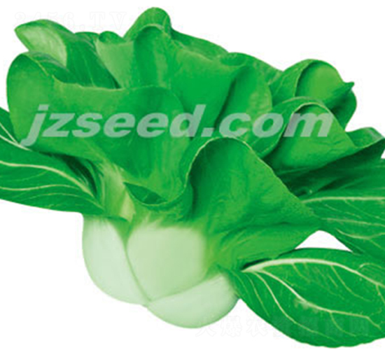 ��ũ�ذ���-С�ײ�����-�ִ���ҵ