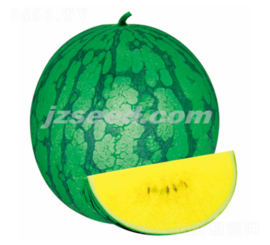 ���Ž���-��������-�ִ���ҵ
