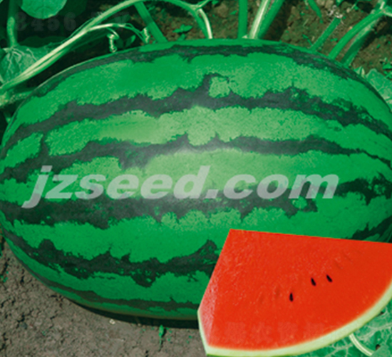 ̨������-��������-�ִ���ҵ