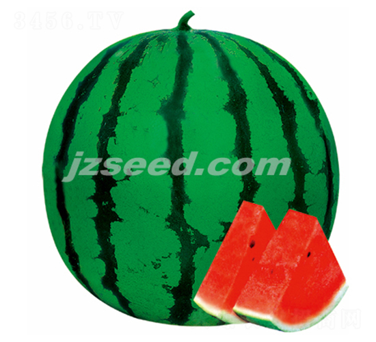 �����۱�-��������-�ִ���ҵ