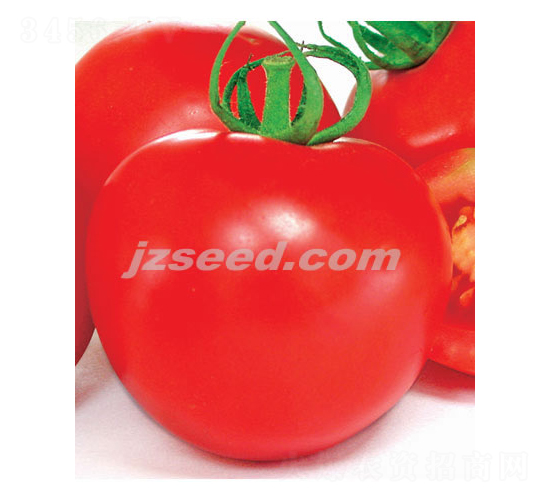���ź�˧-��������-�ִ���ҵ