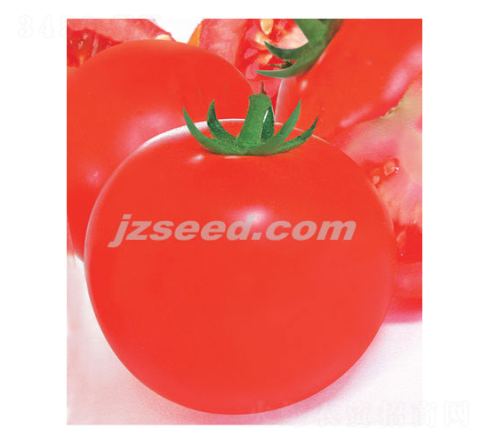 ���Ž�-��������-�ִ���ҵ