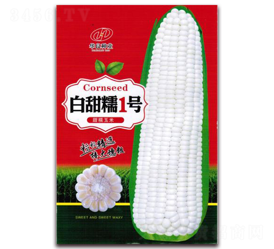 ����Ŵ1��-Ŵ��������-������ҵ